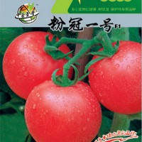 进口西红柿种子，进口番茄种子