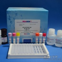 RJ快速检测猪肉Beta兴奋剂测试盒