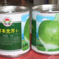 厂家供应进口杂交优质芥菜种子“日本光芥”