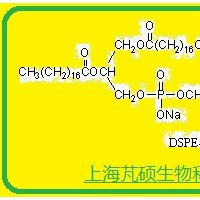 磷脂聚乙二醇氨基