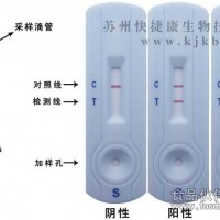 猪瘟病毒检测卡