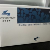 人表皮细胞生长因子（VEGF）定量检测试剂盒（ELISA）