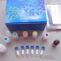 大鼠γ干扰素(IFN-γ)ELISA试剂盒