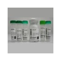 OED24K型酶制剂、抗生素发酵工业消泡剂