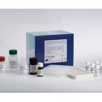 大鼠膜联蛋白Ⅴ价格ANX-Ⅴ Elisa试剂盒价格|Kit说明书