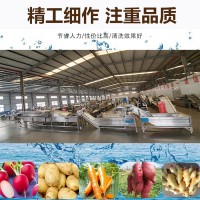 大洋机械厂家销售全自动净菜生产线 畅销款净菜生产线
