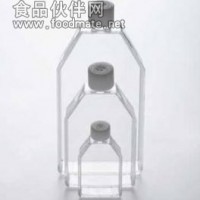 Eppendorf 细胞培养瓶