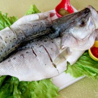 鳙鱼检测机构,鳙鱼抗生素检测报告,鳙鱼微生物检测