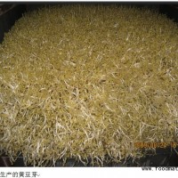 金斗型豆芽机