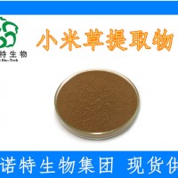水溶小米草提取物10:1 速溶小米草提取物粉 富含小米草黄酮