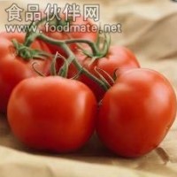 粉果番茄—丽粉T910
