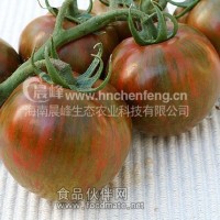 黑番茄种子-黑斑马