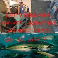 金枪鱼复叠低温冷冻机—成套制冷设备