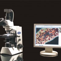 菌落图像分析、显微分析系统—迅数MIC3型