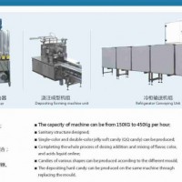 供应GD300型凝胶软糖生产线