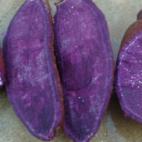 供应鲜紫薯