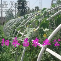 安阳永昌农业供应全自动蔬菜温室大棚骨架机