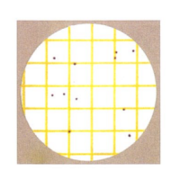 3M Petrifilm 微生物测试片
