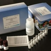 美国Abraxis公司三聚氰胺检测试剂盒 /试纸条 现货