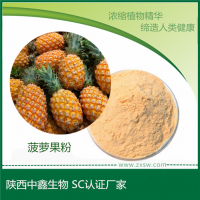 中鑫生物供应菠萝果粉 凤梨果粉
