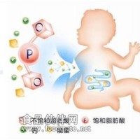 奶粉中OPO结构酯检测服务