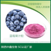SC生产厂家供应蓝莓果粉