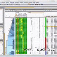 BioNumerics生物信息分析软件
