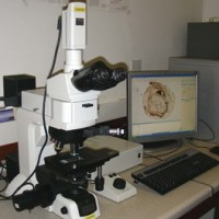 尼康金相显微镜维修
