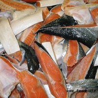 智利银鲑三文鱼