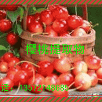 樱桃提取物/西安富正源生物供应樱桃粉