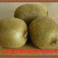 猕猴桃提取物 猕猴桃汁粉提取物