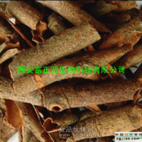 供应桂皮提取物 肉桂多酚