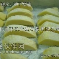 销售冻干国丰脱水食品-FD榴莲