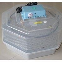 鸽子孵化机/鸭子孵化机/可显示小型孵化机