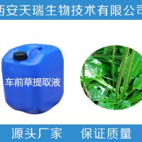 车前草浸膏 车前草提取液 车前草浓缩液 天瑞生物