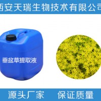 垂盆草浸膏 垂盆草提取液 垂盆草浓缩液