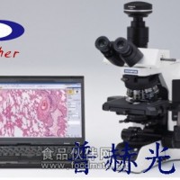 研究级显微镜BX53 奥林巴斯BX53显微镜