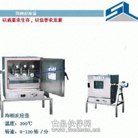 实验室均相反应器