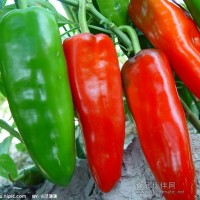 厂家供应辣椒提取物，高质量保证。
