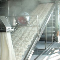 米排粉生产线_大型米排粉机生产线_自动化米排粉生产线
