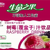 津思味树莓果汁