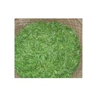 现货供应绿茶提取物