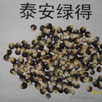 农业黑玉米富硒黑玉米