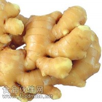 姜辣素 生姜提取物  医药食品原料 原料 植物提取物