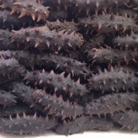 海鲜冰鲜海产品超低价高档礼盒批发供应