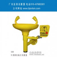 洗眼器 紧急洗眼器 壁挂式烤漆紧急洗眼器