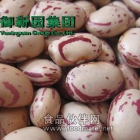 神豆贡品 美味营养 花豆