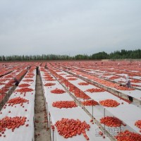 2012新产季番茄干
