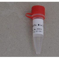 dNTP(10mM)