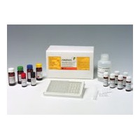 伏马菌毒素检测试剂盒